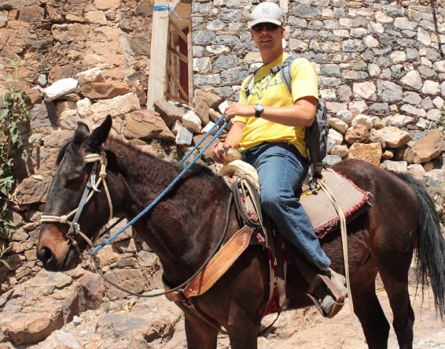 Real de 14 a caballo